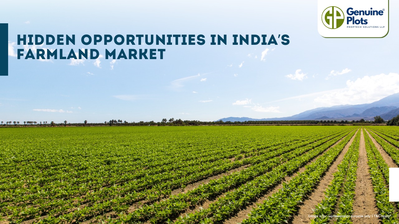 Hidden Opportunities in India’s Farmland Market